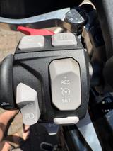 Triumph Tiger 900 GT Pro (11/2020) - TRIUMPH 900