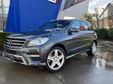 Mercedes-Benz ML 350*Edition 1*AMG-PAKET*DESIGNO*AIR*AHK*20ZOL - Mercedes-Benz ML 350 mit Benzin-Antrieb: Automatik