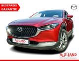 Mazda CX-30 2.0 SKYACTIV-G LED Navi 360° ACC - Mazda CX-30 Gebrauchtwagen