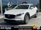 Mazda CX-30 2.5 (140PS) Autom. Centre-Line Rückfahrkam