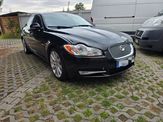 Jaguar XF 3.0 V6 Diesel Luxury neu tüv