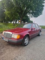 Mercedes-Benz Mercedes W124 200d  TÜV 02/2026 Oldteimer - Mercedes-Benz 200: 200d W124