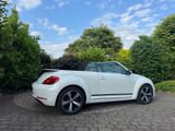 Volkswagen Beetle 1.2 TSI DSG BMT CUP Cabriolet CUP - Volkswagen Beetle: Automatik
