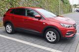 Opel Grandland (X) 1.5 Diesel 96kW Edition Auto E... - Opel Grandland (X) von privat