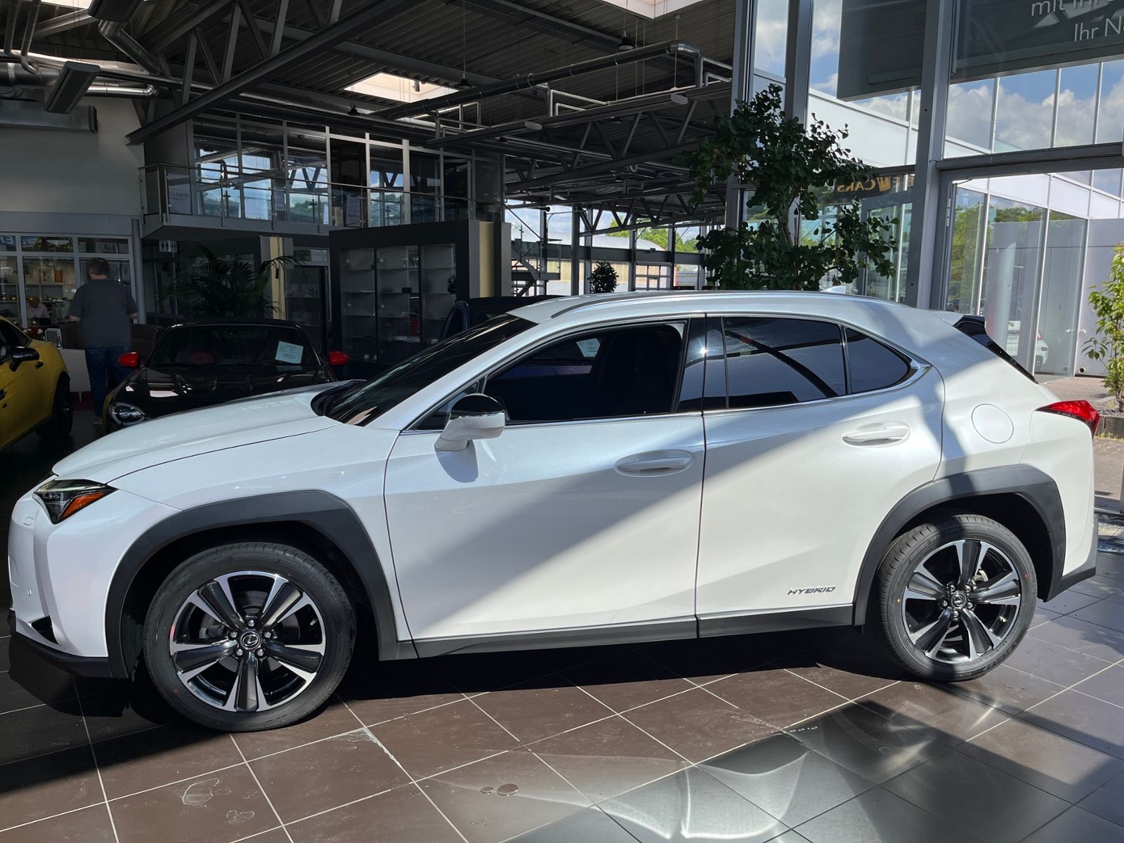 Fahrzeugabbildung Lexus UX 250 h Style Edition Full Link RFK KLIMA LED