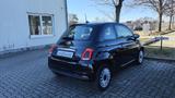 Fiat 500 Summer Edition Allwetterräder Klima ZV+FB - Fiat 500: Edition