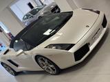 Lamborghini Gallardo 5.0 V10 Spyder - weiße Lamborghini Gallardo