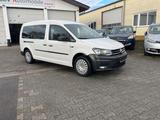 Volkswagen Caddy PKW Maxi Conceptline.1.HAND-7 SITZER- - Volkswagen Caddy: Maxi Conceptline