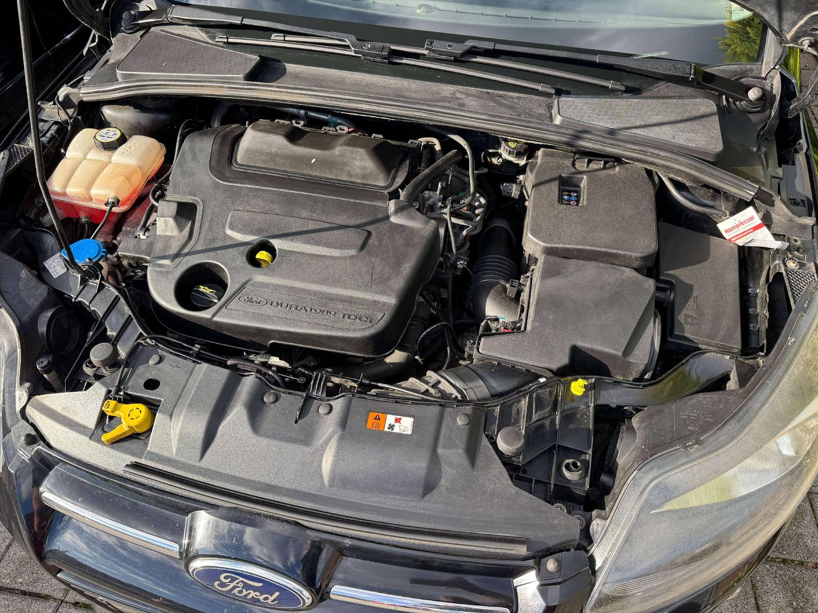 Ford Focus 2013 — photo 14