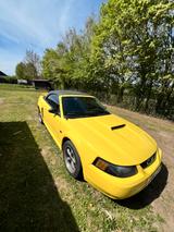 Ford Mustang Cabrio - gebrauchte Ford Mustang aus dem Jahr 2001