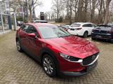 Mazda CX-30 SKYACTIV-G 2.0 M Hybrid - Mazda Gebrauchtwagen in Oldenburg