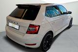 Skoda Fabia 1.0 TSI Monte Carlo*PDC*AAC*PANO*RFK*SHZ* - Skoda Fabia Gebrauchtwagen in Osnabrück