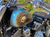 Harley-Davidson Softail FLSTN1 - Offers matching your search criteria