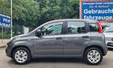 Fiat Panda 1.2i Easy Klima/PDC/Allwetter - Fiat Panda Gebrauchtwagen in Berlin