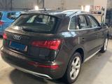 Audi Q5 40 TDI quattro sport*Rear Cam*AHK*Panno* - gebrauchte Audi Q5 aus dem Jahr 2019