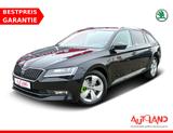 Skoda Superb Combi 2.0 TDI DSG AAC Bi-Xenon Navi SHZ - Skoda Superb: B