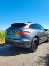 Jaguar F-Pace 20d AWD R-Sport Automatik R-Sport - Jaguar F-Pace von privat