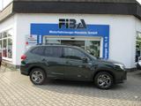 Subaru Forester 2.0ie Edit. Black Platinum Lineartr. - Subaru Forester mit Benzin-Antrieb