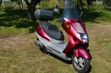 Honda FES250 - ROLLER 250