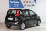 Fiat Panda MYSTYLE 1.2 8V 69PS *Klima* - Fiat Panda: My