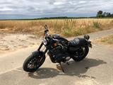 Harley-Davidson Roadster  XL1200 - HARLEY-DAVIDSON ROADSTER 1200