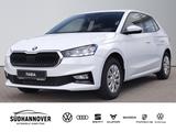 Skoda Fabia Selection 1.0 TSI 85kW 6-Gang +SMARTLI+PDC - Skoda Fabia: Tsi 85