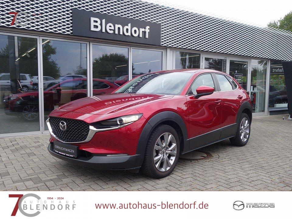 Mazda CX-30 Selection 122 Navigation|Kamera|PDC|Apple 