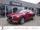 Mazda CX-30 Selection 122 Navigation|Kamera|PDC|Apple  - Mazda CX-30 in Essen