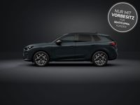 Cupra Terramar - Vorschau Bild 2