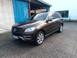 Mercedes-Benz Mercedes ML 250 - Mercedes-Benz ML 250 aus 2012