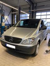 Mercedes-Benz Vito 120 CDI (V6), 9 Sitzer und Transporter - Mercedes-Benz Vito: Transporter