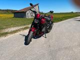 Triumph Trident 800 von Matthias Reim - Triumph Trident 800