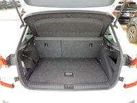 Skoda Kamiq - Vorschau Bild 5