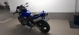 Honda 900 hornet  - HONDA HORNET