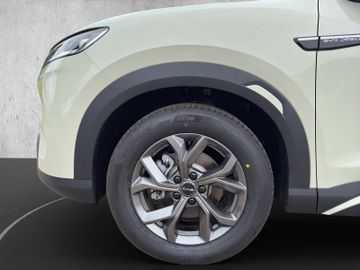 BYD ATTO 2 45.1kWh Boost 360 Pano Wärmepumpe Navi LH