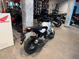 Honda MSX 125 Grom 2025 White *Tageszulassung 08-25* - Honda MSX125 Grom