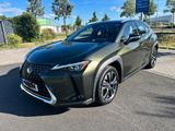 Lexus UX 250h Luxury Line Luxury Line - Lexus aus 2021