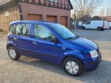Fiat Panda 1.2 8V Dynamic*Automatik*1.Hand*Scheckheft - Fiat Panda: 1.2
