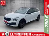 Skoda Kamiq 1.5 TSI DSG Tour Pano AHK Matrix Kamera