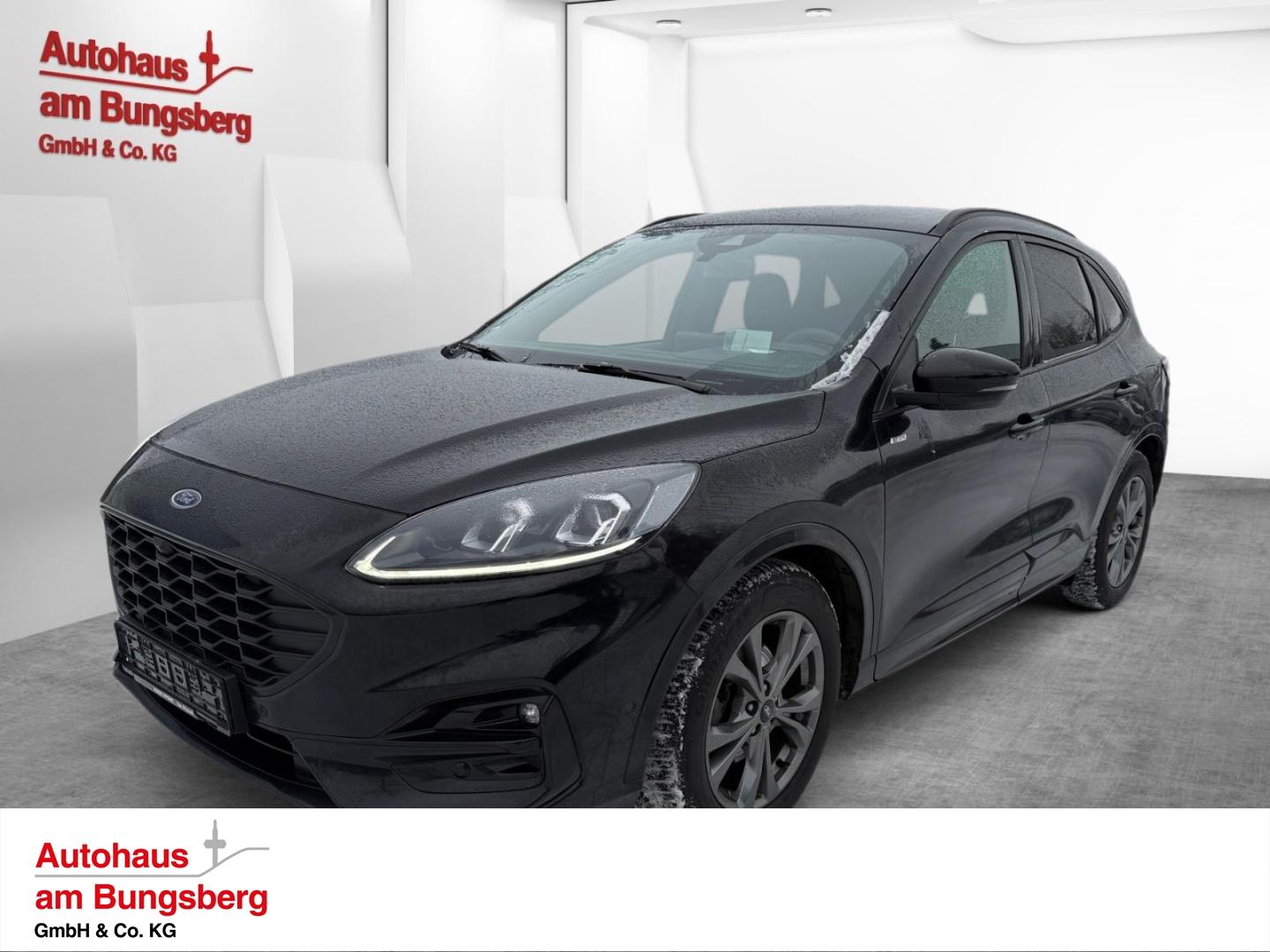 Ford Kuga 2.0 EcoBlue ST-Line X Navi AHK Ganzjahresre