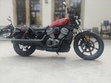 Harley-Davidson Sportster Nightster RH975  Tageszulassung