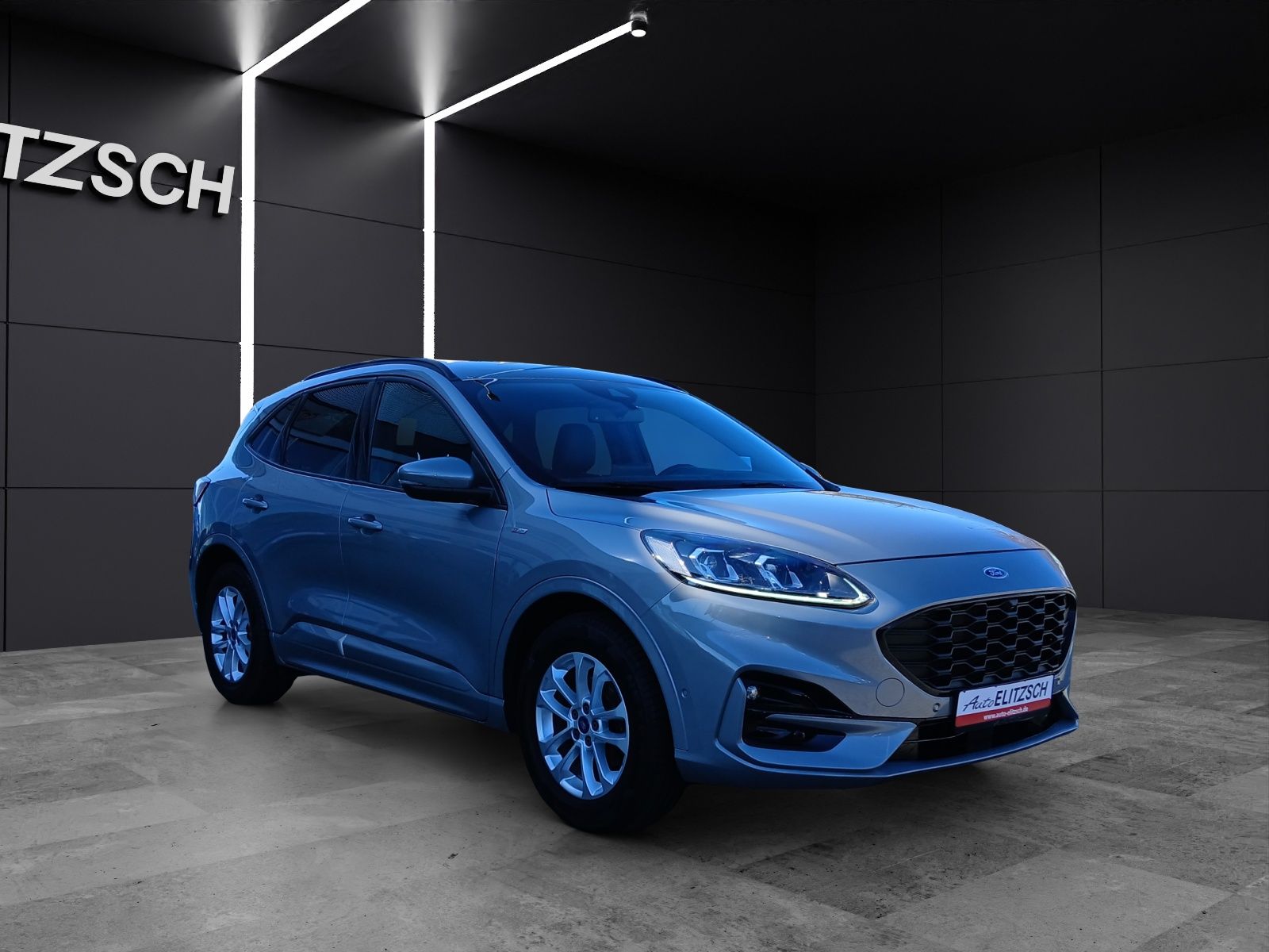 Fahrzeugabbildung Ford Kuga 2.0 EcoBlue Hybrid ST-Line X LED AHK Navi H