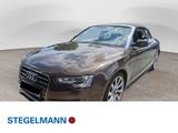 Audi A5 Cabrio 2.0 TDI *AHK*Xenon*Sitzheizung*GRA* - Audi Gebrauchtwagen in Detmold
