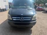Mercedes-Benz Mercedes Sprinter 313 CDI L2H2 Kastenwagen - Mercedes-Benz Sprinter aus 2008: 313 Cdi