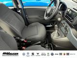 Fiat Panda ICON Hybrid 1.0 GSE KLIMA PDC TEMPOMAT - Fiat Panda: Allradantrieb