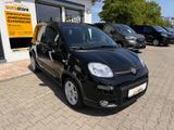 Fiat Panda 1.0 Hybrid *5-Sitzer, Klima, Einparkhilfe - Fiat Panda Tageszulassungen