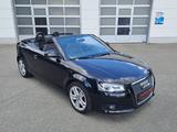 Audi A3 Cabriolet 1.6 TDI Ambition/Xenon,17",Sitzhzg - Audi A3: Cabrio, 1.6