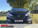 Hyundai TUCSON 1,6 GDI blue Classic 2WD Klima MFL Isofix - Hyundai TUCSON: Classic
