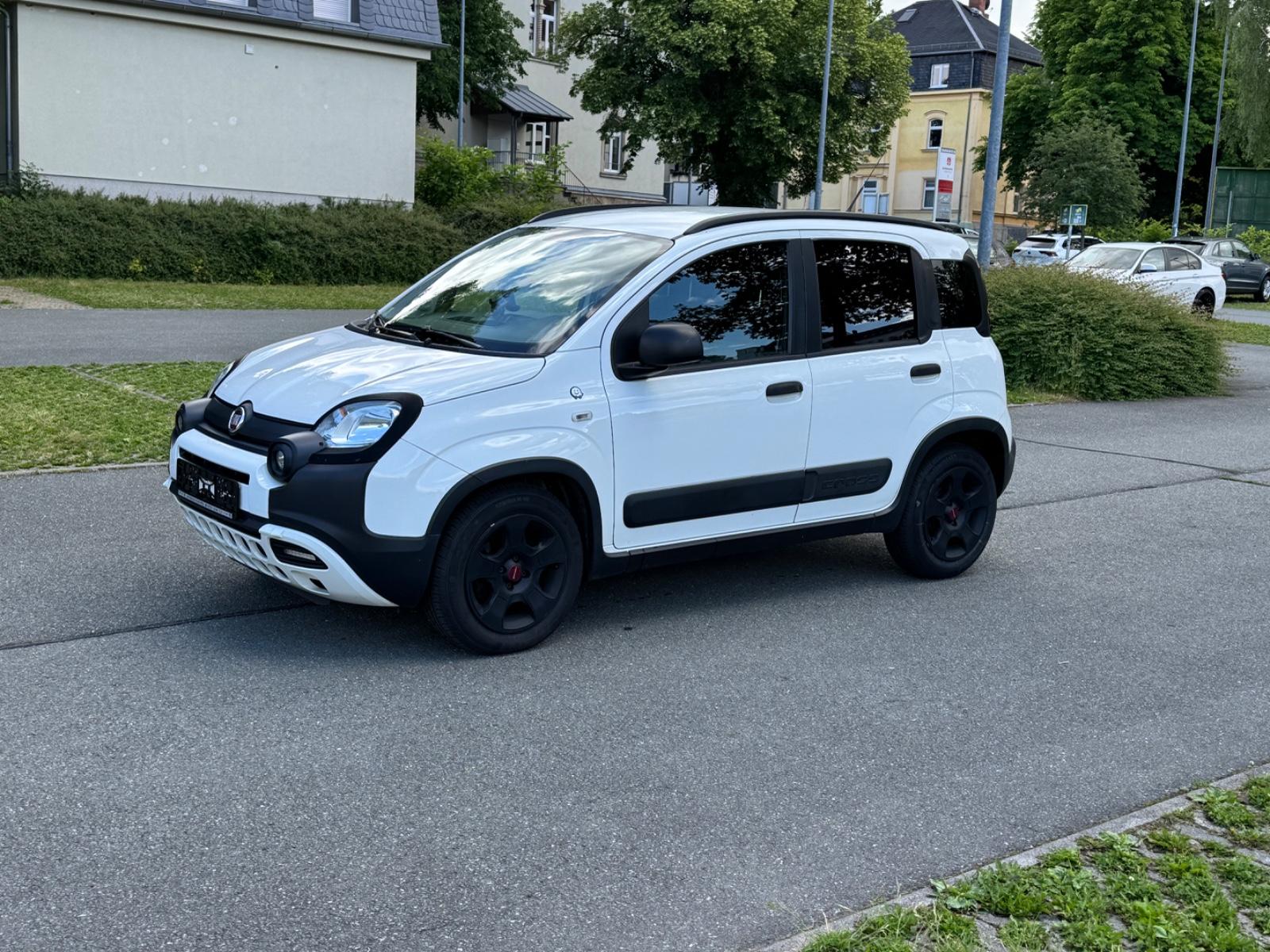 Fiat Panda Waze City Cross * TÜV & Service neu!*