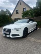 Audi A5 Cabriolet 2.0 TDI S-LINE Automatik - 177 PS - Audi Cabriolet: TDI